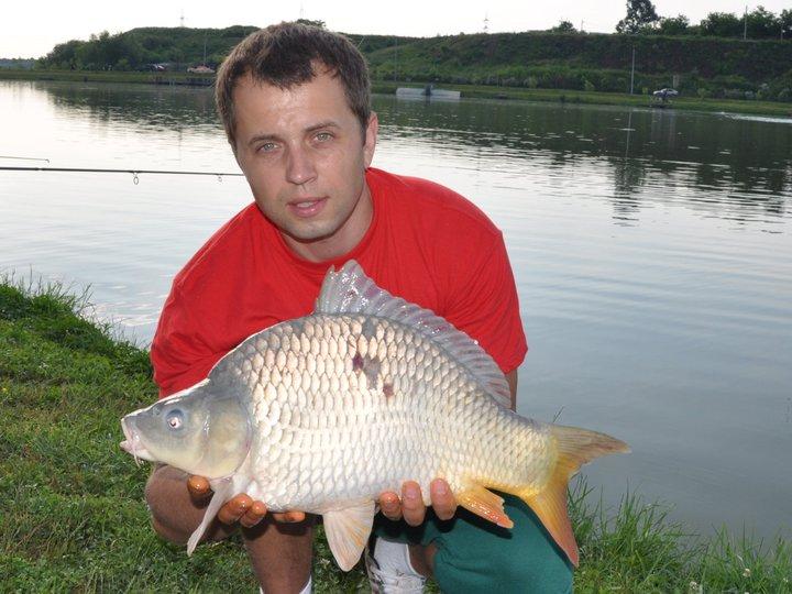 Partide 2010 - 2012 - 2496311500285950684721000018399645173191951722689n.jpg